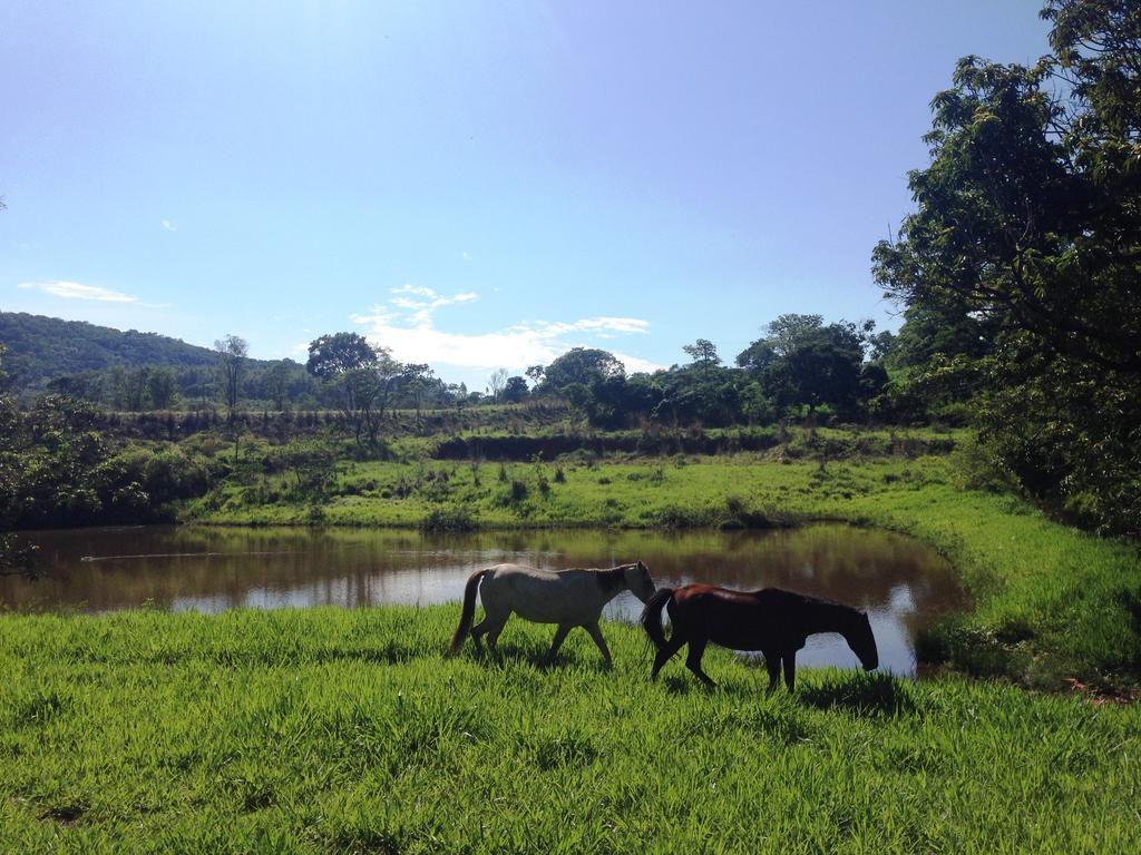 Aguas Vivas Hotel Fazenda Pirenópolis Eksteriør bilde